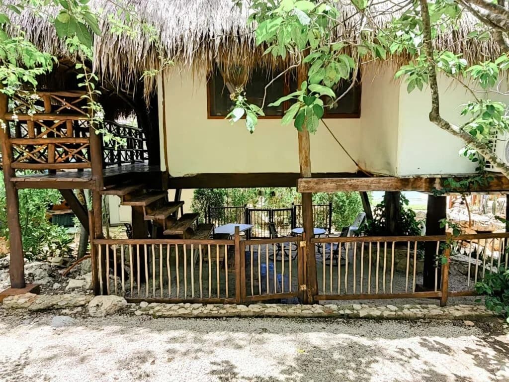 Casa del Árbol — cabaña en Cenote San Isidro